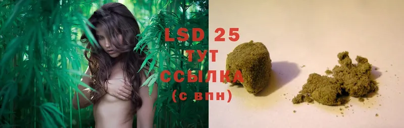 omg сайт  Белая Холуница  LSD-25 экстази кислота 